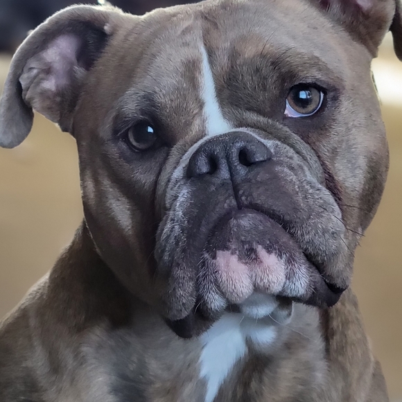 Meet your Posher, Julie - Picture 2 of 3